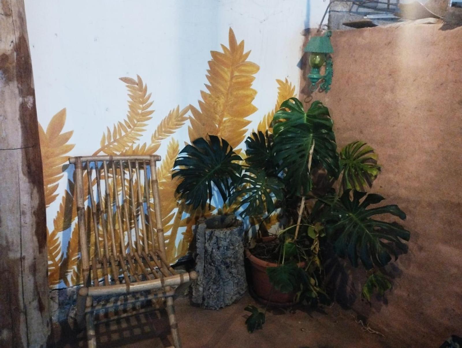 בית הארחה Làconi 	Country Living School מראה חיצוני תמונה